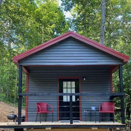 Villa Lovely Tiny Cabin In The Heart Of Red River Gorge! Campton Exterior foto